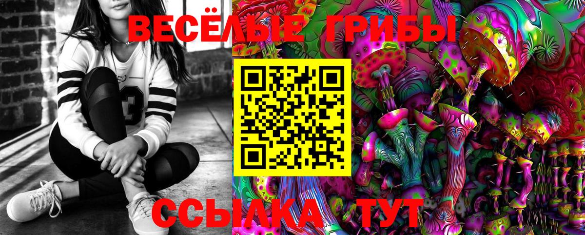 Псилоцибиновые грибы GOLDEN TEACHER Кубинка